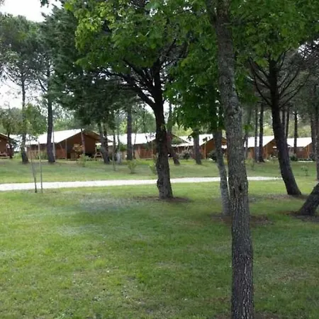 Kemping Camping 3 Etoiles - Ccaadfe *